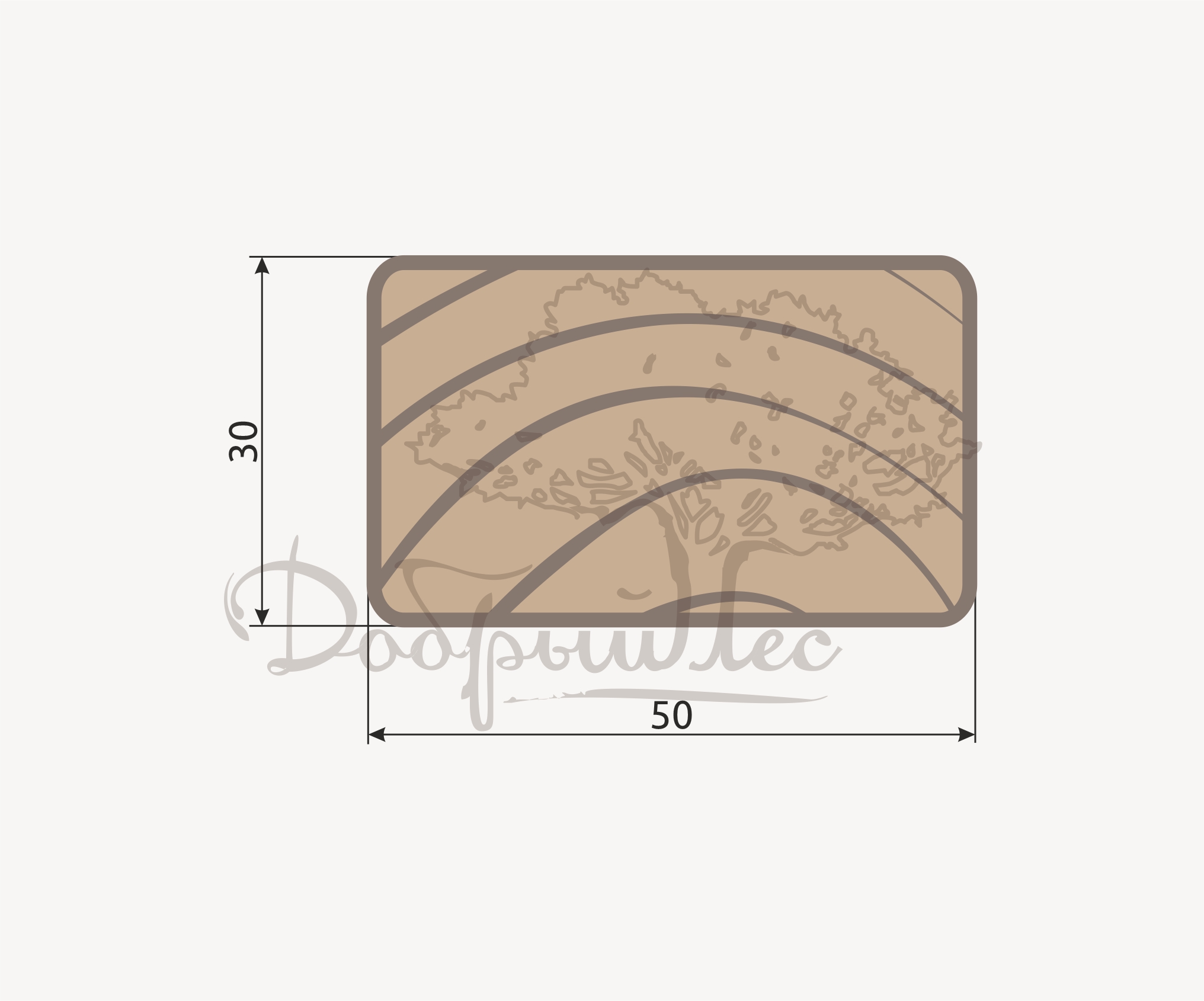 Брус 50х30 профиль термохвоя