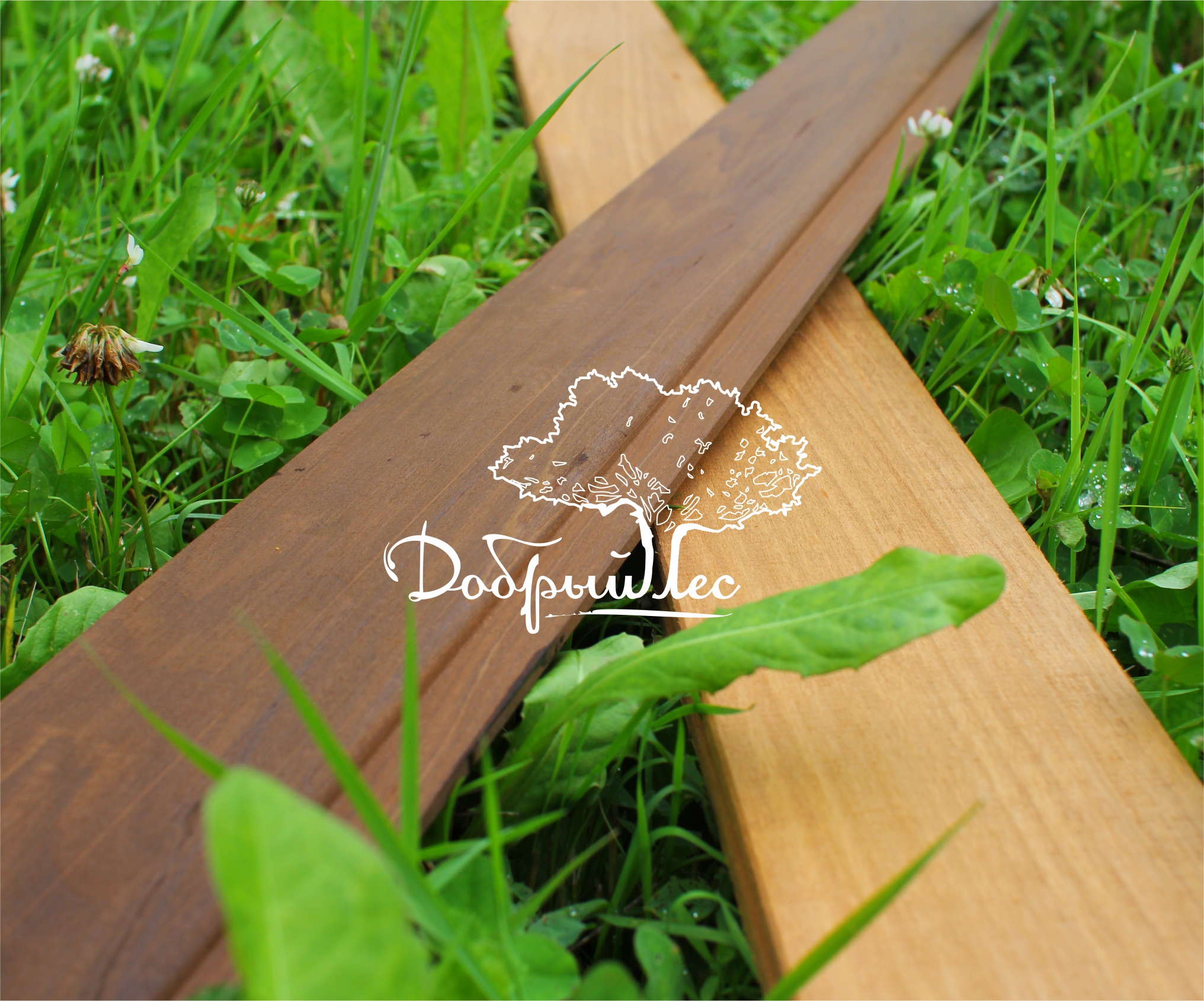 доски термовагонки